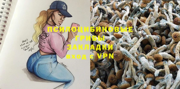 MDMA Медногорск