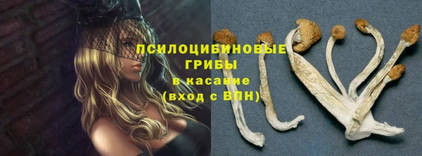 MDMA Медногорск