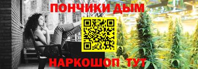 шишки Апшеронск