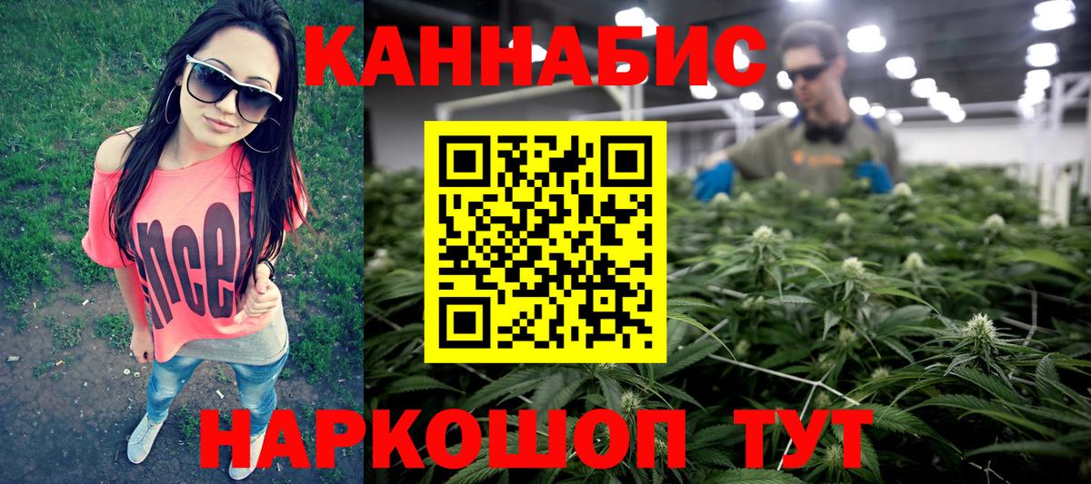 Каннабис сатива Унеча